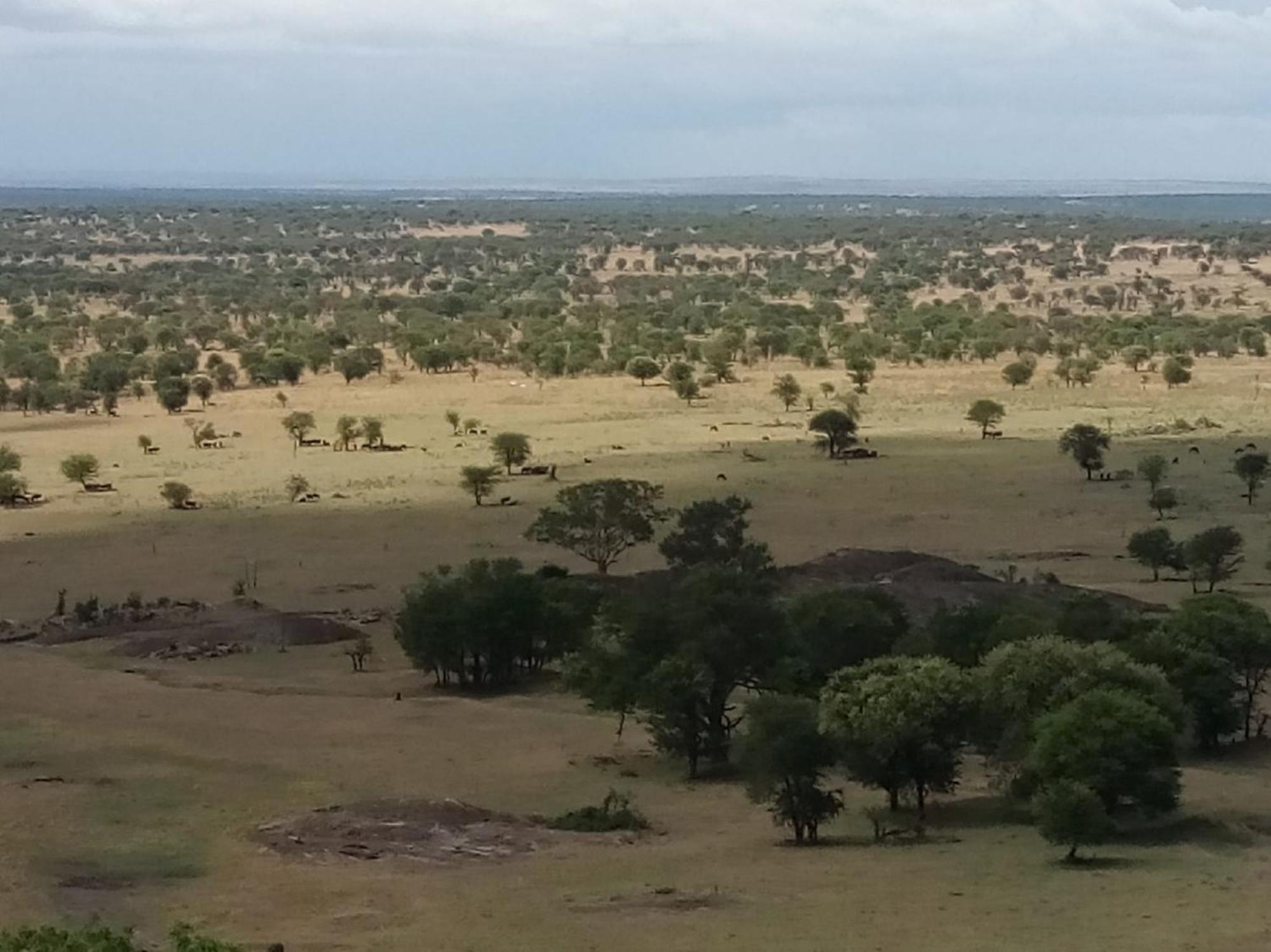 Lobo Wildlife Lodge Serengeti Exterior photo