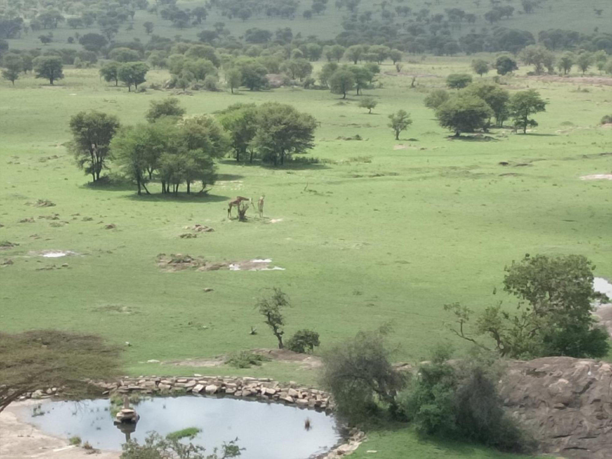 Lobo Wildlife Lodge Serengeti Exterior photo